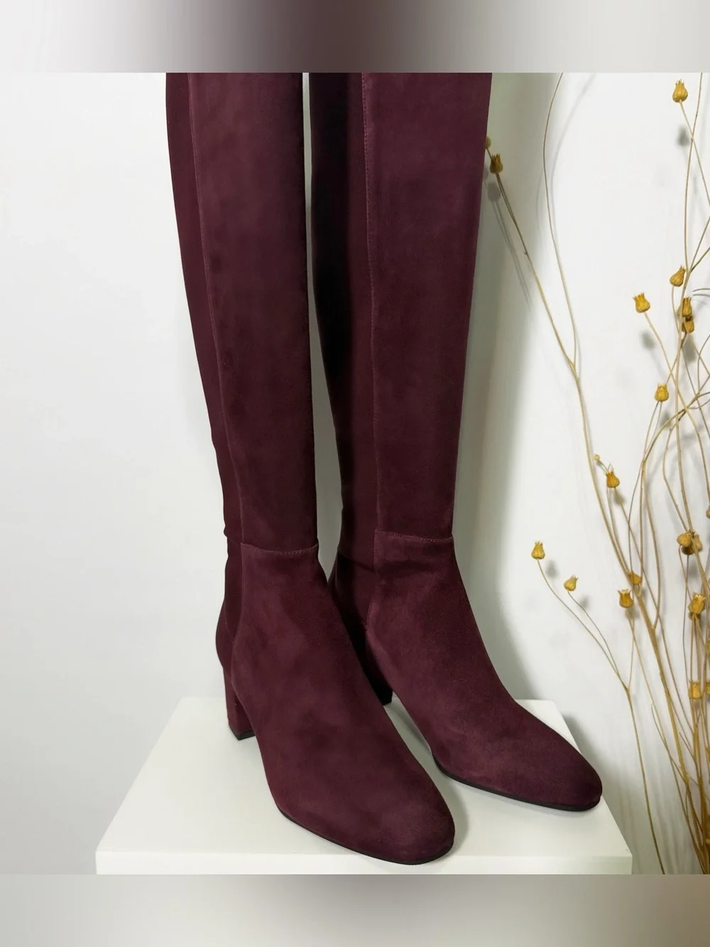 Stuart Weitzman Over-the-Knee Suede Boots in Deep Burgundy | Size 6